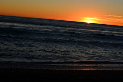 DSC_1302 (Large).JPG